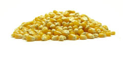 pop-corn - céréales