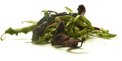 “Slim Tea” Herbal Blend - herbs