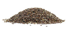 quinoa rouge - céréales